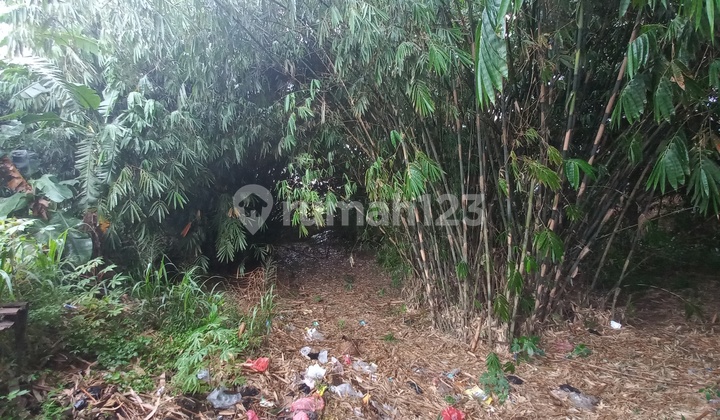 Tanah di Pagedangan Kadusirung Tangerang Tanah di Pagedangan Kadusirung Tangerang