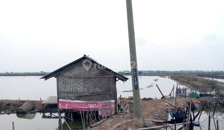 Lahan Tambak Dijual Dibawah Harga Njop 2