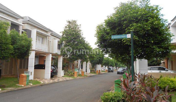 Rumah Magnolia 2 Lantai Siap Huni Disewakan 2