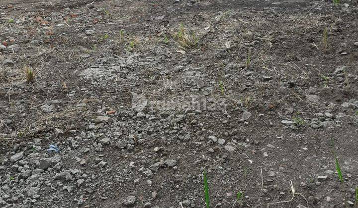Tanah pinggir jalan raya yogya solo usaha cocok usaha harga Covid 9