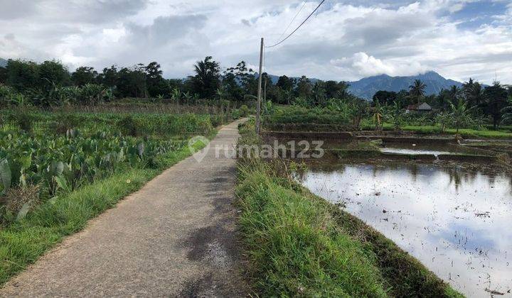 Tanah Murah Area Wisata Cocok Untuk Vila, Kebun Dan Peternakan 1