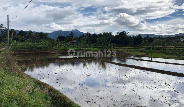 Tanah Murah Area Wisata Cocok Untuk Vila, Kebun Dan Peternakan 2