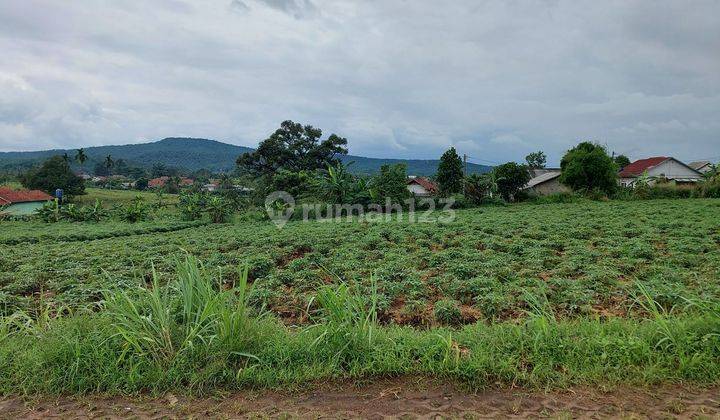 Tanah Murah Parung cocok untuk berkebun dan Villa view Gunung 1