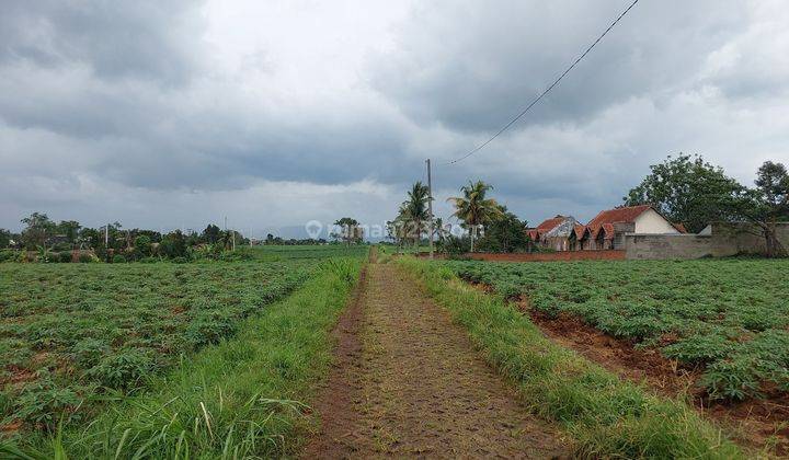 Tanah Murah Parung cocok untuk berkebun dan Villa view Gunung 2