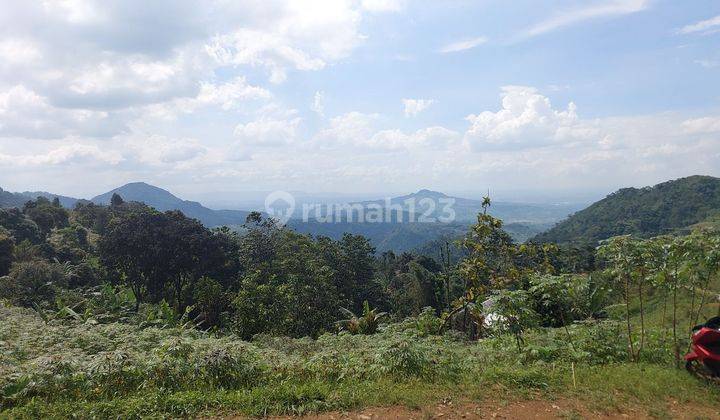 Termurah Lahan 17 Hektar Sentul satu Hamparan sudah SHM 1