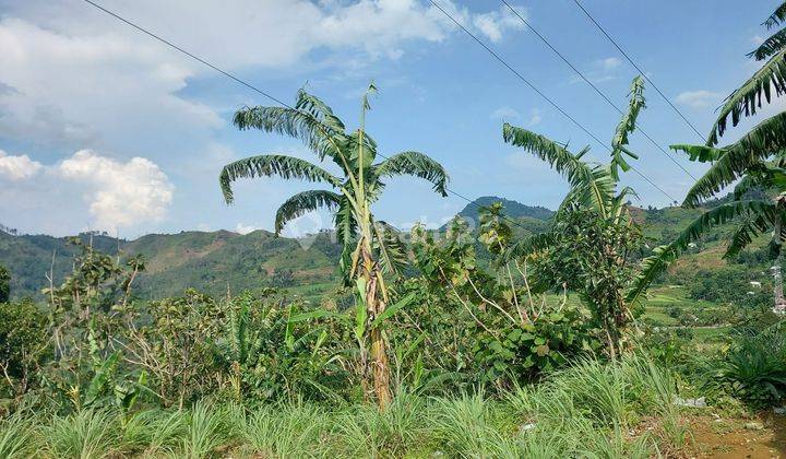 Termurah Lahan 17 Hektar Sentul satu Hamparan sudah SHM 2