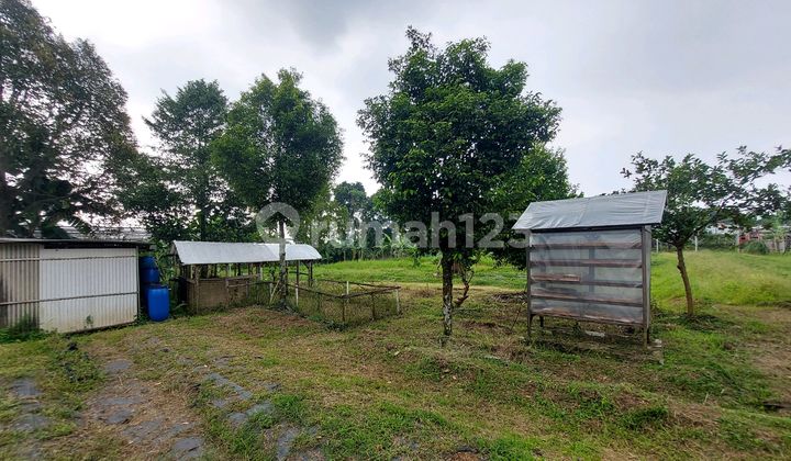 Tanah Kebun Hidroponik Pinggir Jalan Raya Area Kawasan Wisata
