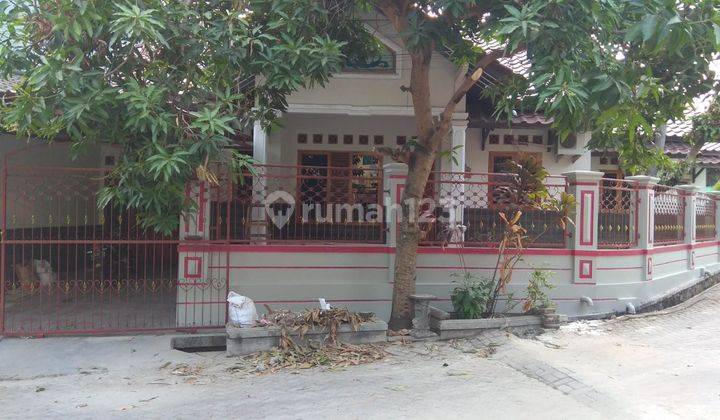 Rumah Asri Hook, Strategis Di Raya Mayor Muslich Dkt Alun2 Serang 2