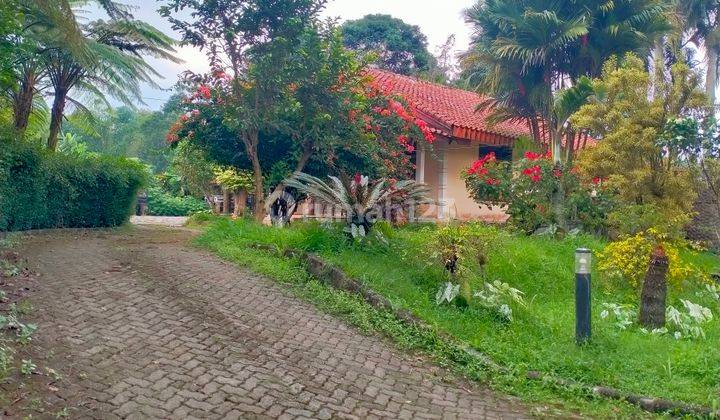 Tanah Gratis Villa di Tenjolaya Bogor,kawasan Wisata Gunung Salak 1