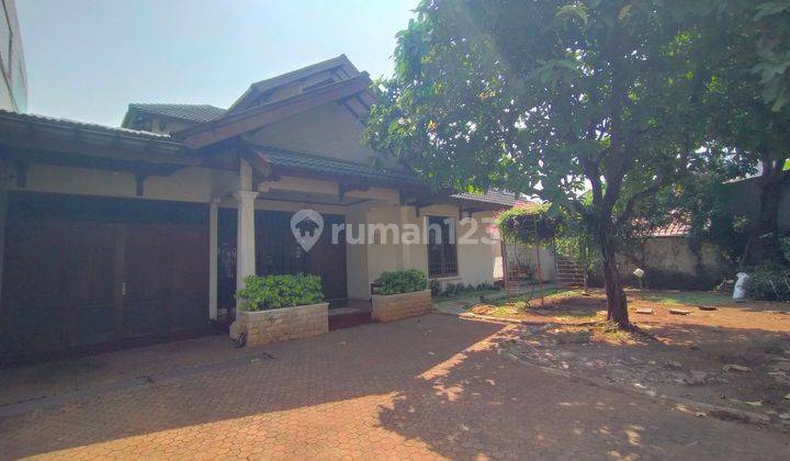 Rumah Asri Sejuk Lahan Luas 552m² Pinggir Jalan Dekat Blok M 2