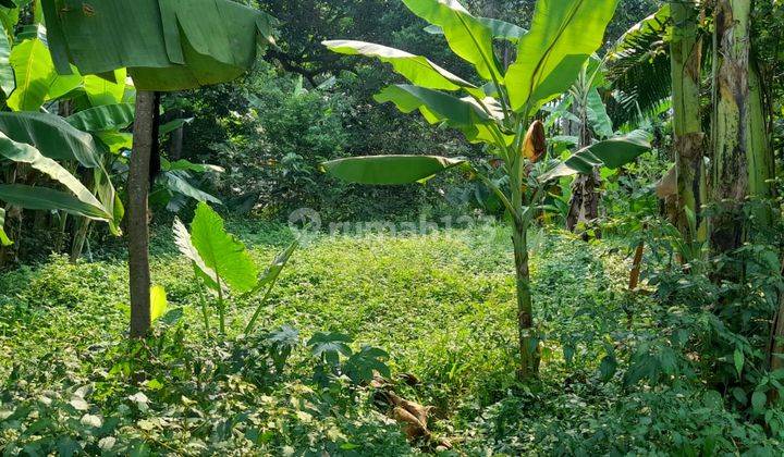 Lahan di Sawangan Baru Cocok Untuk Cluster Harga Murah 2