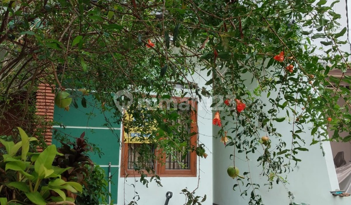 Rumah 2 Lantai Dalam Cluster Di Kebagusan Jakarta Selatan 2