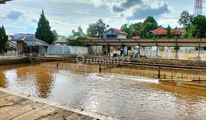 Kolam pemancingan air melimpah bisa dijadikan usaha kolam renang Cimahi Utara  1