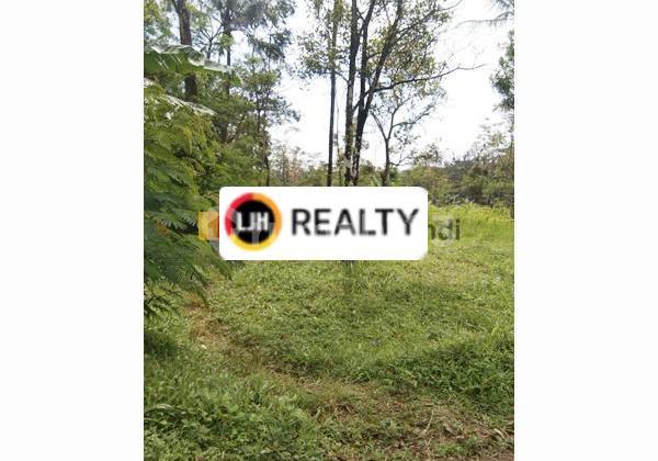 Kavling di DS Sampetan Ngadirojo Boyolali