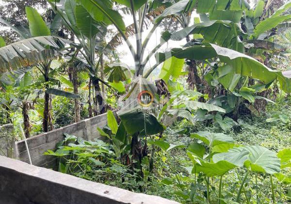 Kavling DS Watuagung Tuntang Salatiga Jawa Tengah Kavling DS Watuagung Tuntang Salatiga Jawa Tengah