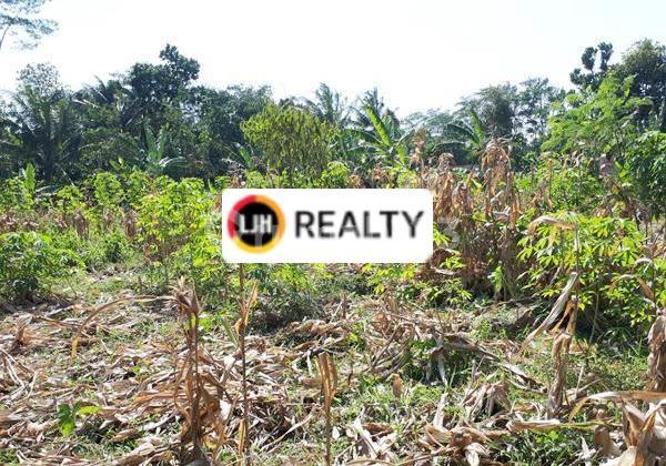 Plot in Purwogondo Mijen 2