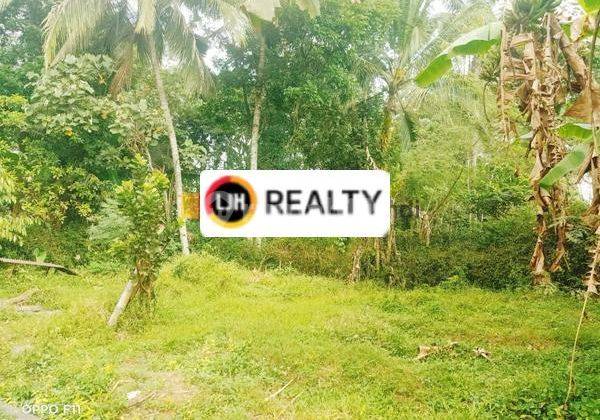 Dijual Cepat Kavling di Secang Magelang Jawa Tengah 1