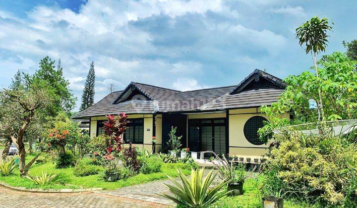 Villa Nuansa Jepang di Kota Bunga Puncak, Bogor 2