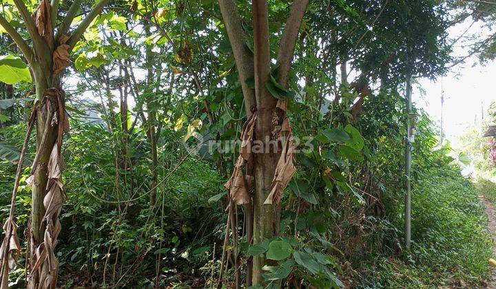 Tanah Siap Bangun Lokasi Strategis Di Gunung Sindur 2