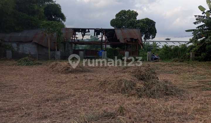 Kavling di Balaraja Siap Bangun Dehat Pintu Tol Kavling di Balaraja Siap Bangun Dehat Pintu Tol