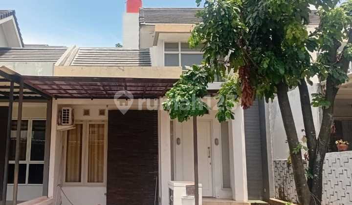 House in Permata Bintaro Ready to Occupy House in Permata Bintaro Ready to Occupy