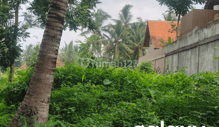 Dijual Tanah Kosong Stratgis Tampaksiring Gianyar, Bali 2