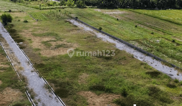 Premium Land for Sale in Grasshopper Tabanan, Bali 1