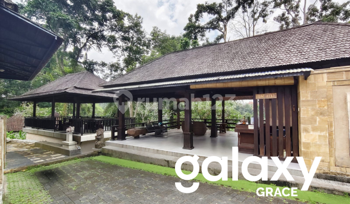 Dijual Tanah Bonus Bangunan Hotel di Kedewatan Ubud Gianyar - Bali Dijual Tanah Bonus Bangunan Hotel di Kedewatan Ubud Gianyar - Bali