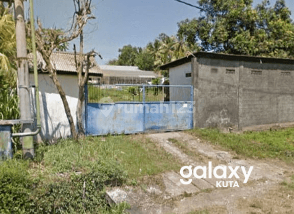 Dijual Tanah Dan Gudang Pantai Rening Jembrana Bali 2