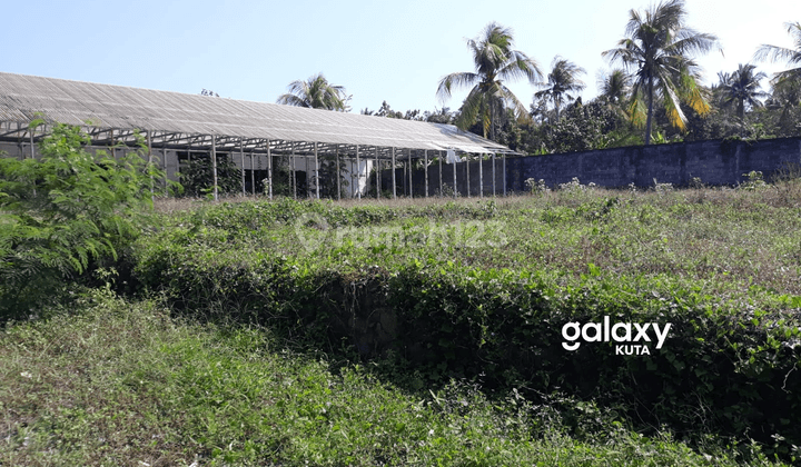 Dijual Tanah Dan Gudang Pantai Rening Jembrana Bali 4