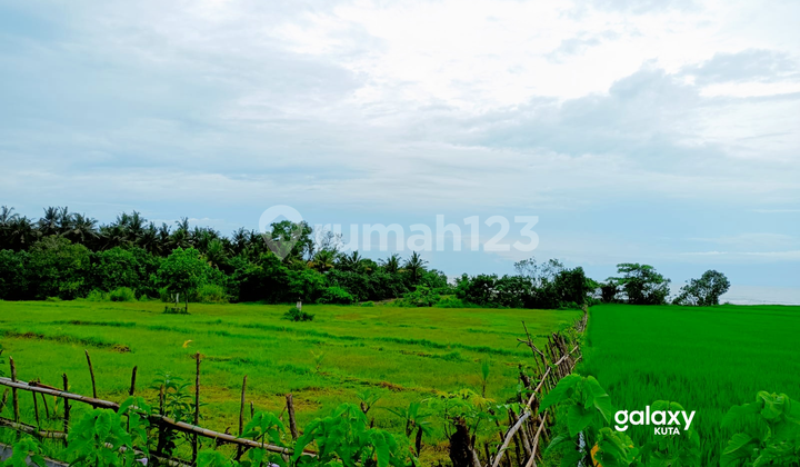 Dijual Tanah Los Pantai Pulukan Jembrana, Bali 3