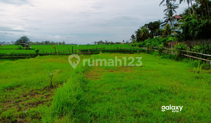 Dijual Tanah Los Pantai Pulukan Jembrana, Bali 5