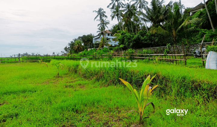 Dijual Tanah Los Pantai Pulukan Jembrana, Bali 8
