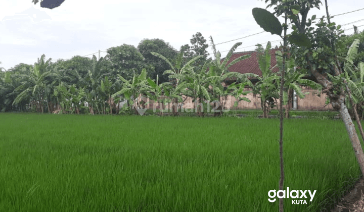 Disewakan Tanah Kosong Tukad Bilok Renon Denpasar, Bali 1