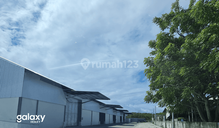 Disewakan Gudang Baru Bypass Ngurah Rai Sidakarya, Bali 7