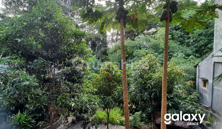 Dijual Rumah Tiying Tali Blahbatu Gianyar, Bali 7