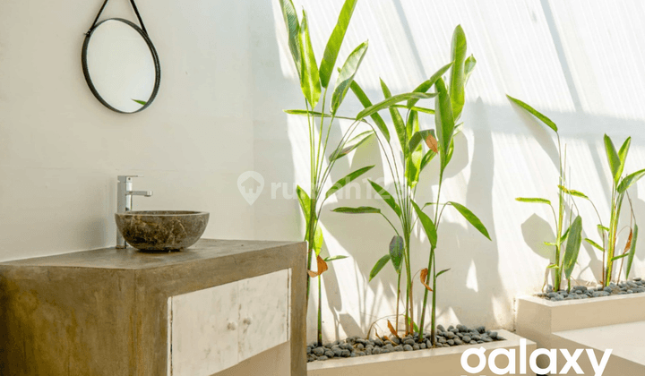 For Rent Cozy Villa Arjuna Seminyak, Bali 2
