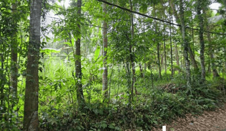 Ready-to-build land for sale in Raya Kelusa Gianyar, Bali 1