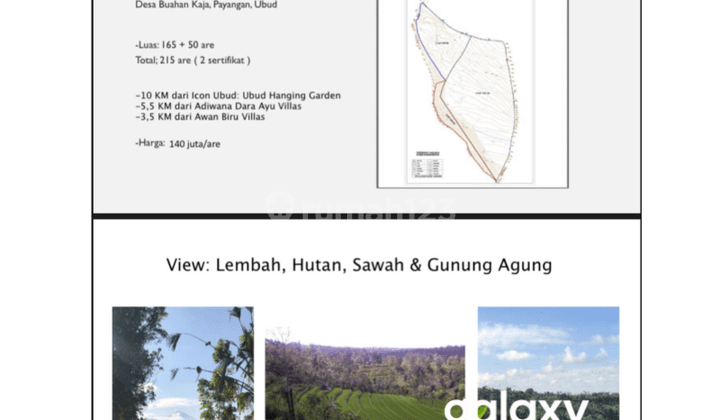 DIJUAL TANAH BANJAR PAUSAN DESA BUAHAN KAJA PAYANGAN UBUD - GIANYAR 2