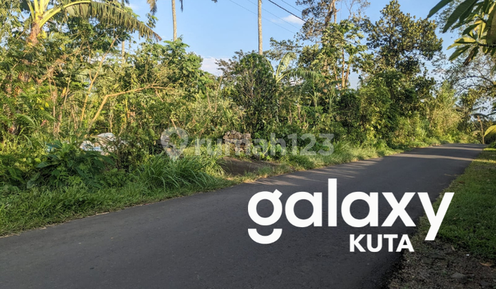 For Sale Land Strategic Location in Bugbugan Sari Jati Luwih Tabanan - Bali For Sale Land Strategic Location in Bugbugan Sari Jati Luwih Tabanan - Bali