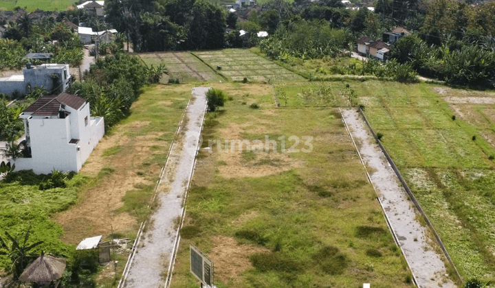 Premium Land for Sale in Grasshopper Tabanan, Bali 2