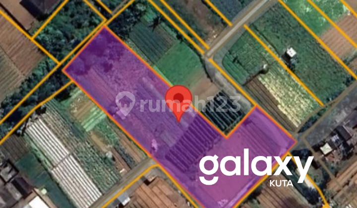 LAND FOR SALE IN BEDUGUL, TABANAN - BALI LAND FOR SALE IN BEDUGUL, TABANAN - BALI