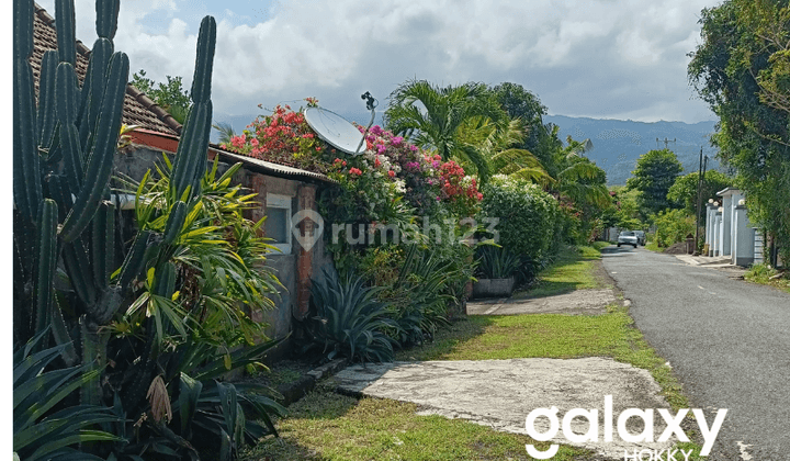 Dijual Rumah Dan Tanah Dekat Lovina Buleleng, Bali 1