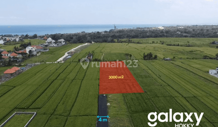 Dijual Tanah Kavling Pantai Mengening Cemagi Mengwi, Bali 2