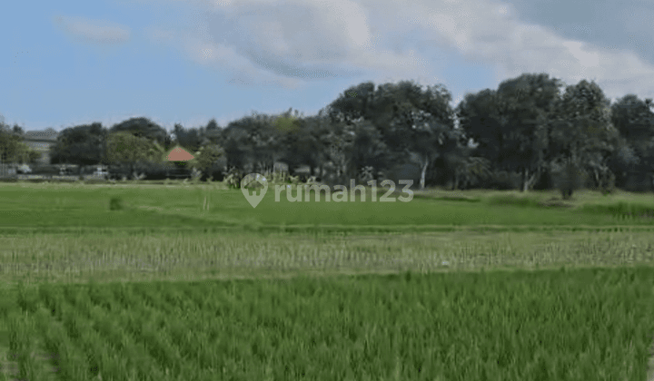 Nyitdah Plot of Land for sale Tabanan, Bali 1