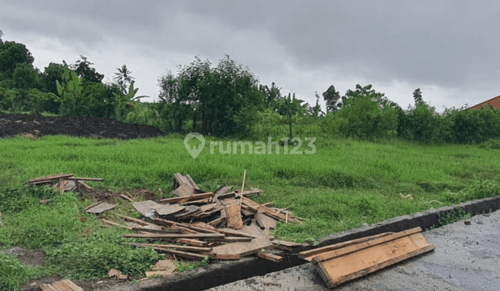 Dijual Tanah Kosong Lc Sanggulan Kediri Tabanan, Bali 1