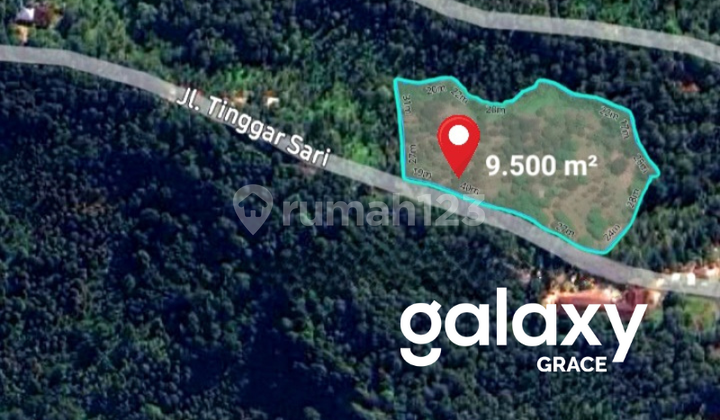 Dijual Tanah Kebun Durian di Tinggarsari Buleleng Singaraja - Bali