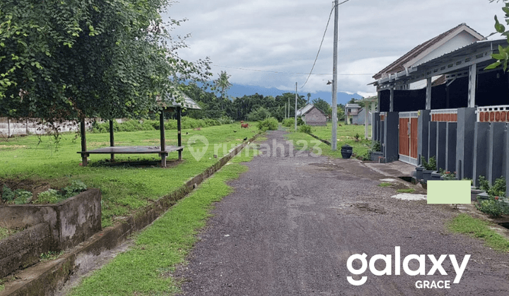 DIJUAL TANAH KAVLING DI MENARA SUAR PELABUHAN CELUKAN BAWANG GEROKGAK SINGARAJA - BALI DIJUAL TANAH KAVLING DI MENARA SUAR PELABUHAN CELUKAN BAWANG GEROKGAK SINGARAJA - BALI