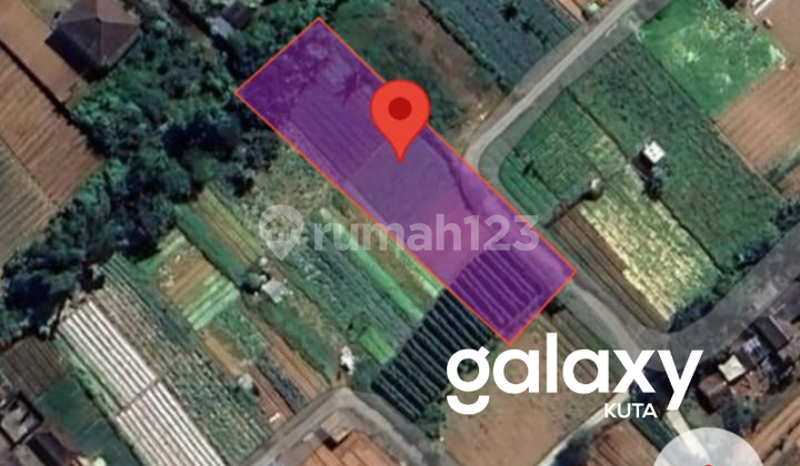 DIJUAL TANAH DI BEDUGUL TABANAN - BALI 