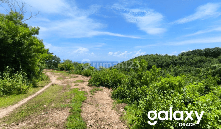 DIJUAL TANAH DI DESA SAKTI NUSA PENIDA KLUNGKUNG - BALI 1